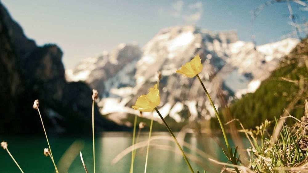 Hotel Trenker Braies  Exterior foto
